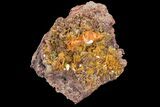 Orange Wulfenite Crystal Cluster - Rowley Mine, Arizona #118959-1